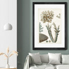 Coastal Curiosity VI by Unknown on GIANT ART - beige coastal & tropical sea