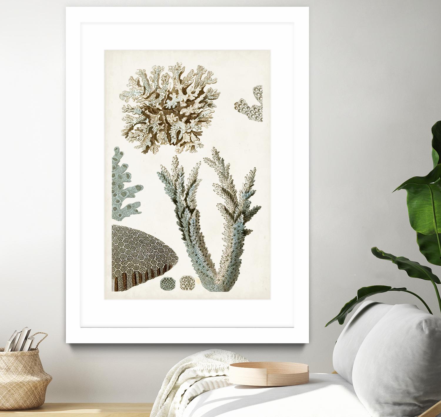 Coastal Curiosity VI by Unknown on GIANT ART - beige coastal & tropical sea