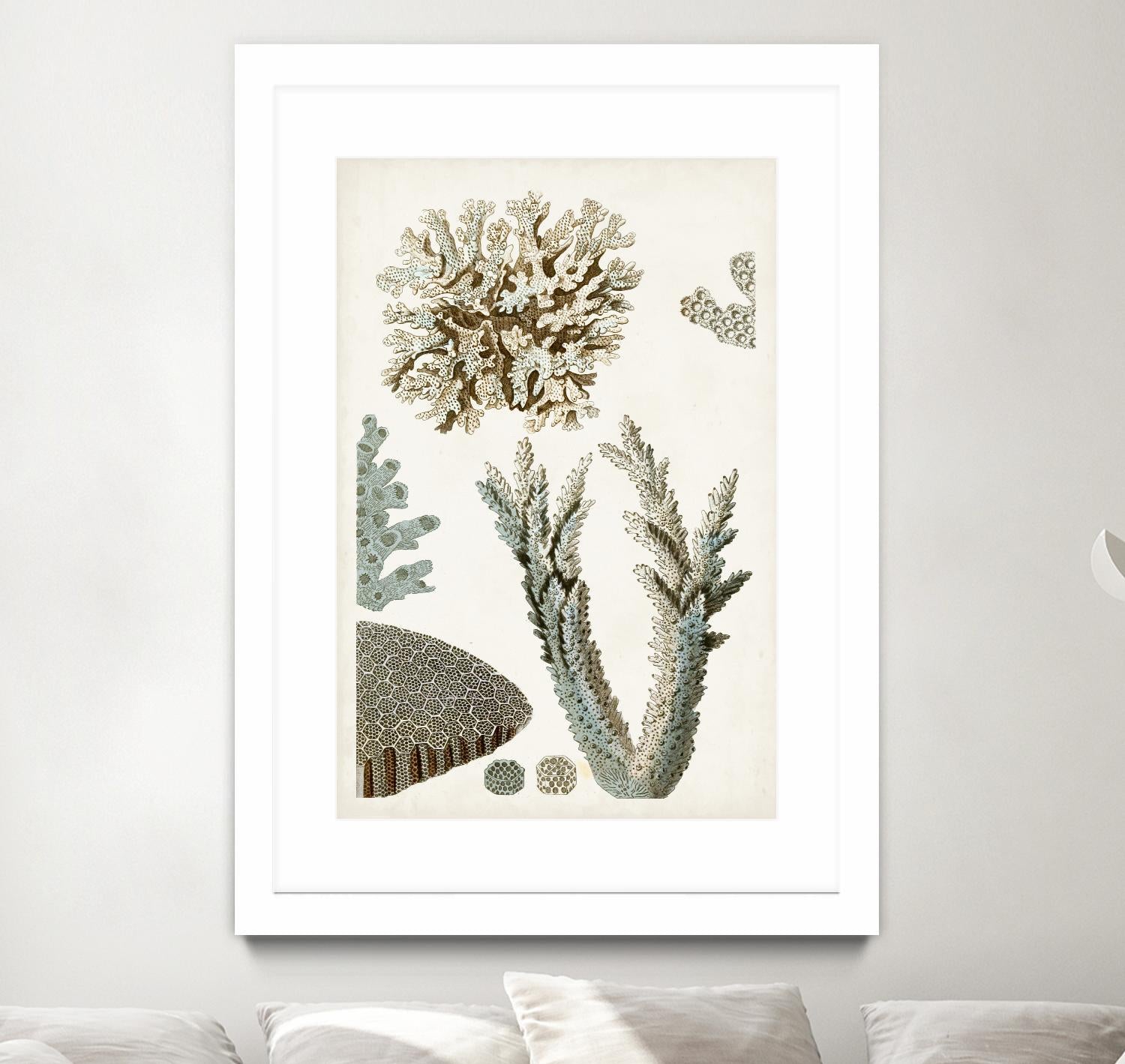 Coastal Curiosity VI by Unknown on GIANT ART - beige coastal & tropical sea