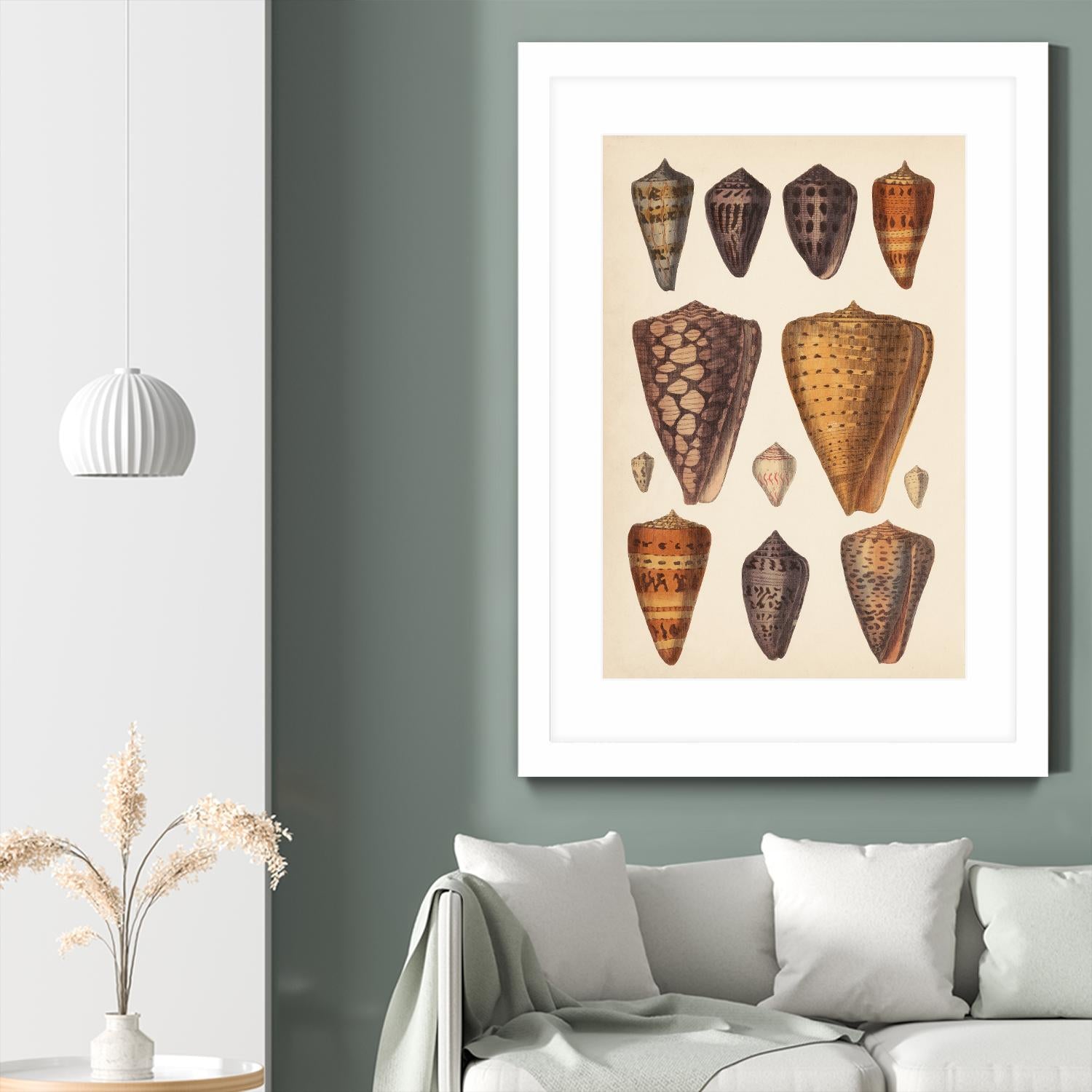 Antique Cone Shells I by Unknown on GIANT ART - orange beach