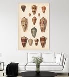 Antique Cone Shells II by Unknown on GIANT ART - beige  seashell 