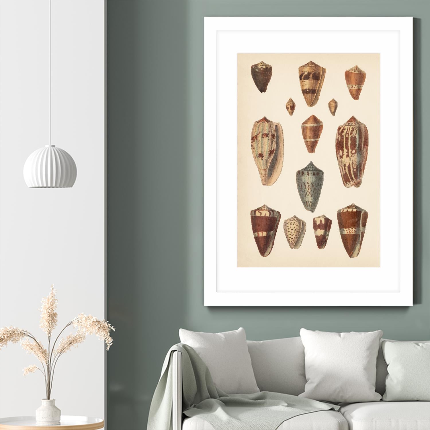 Antique Cone Shells II by Unknown on GIANT ART - beige  seashell 