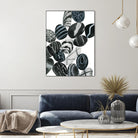 Dalmatian Rocks I by Grace Popp on GIANT ART - white abstract abstract