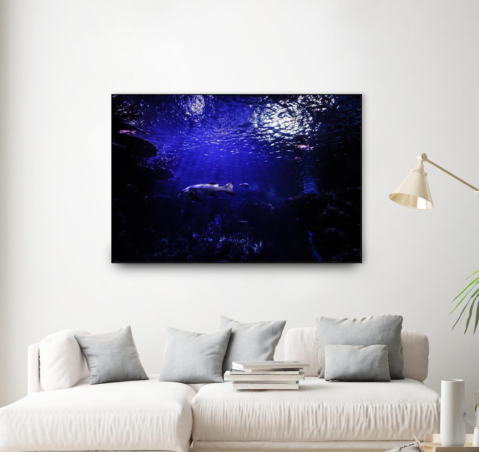 Dark Ocean by Pexels on GIANT ART - black sea scene