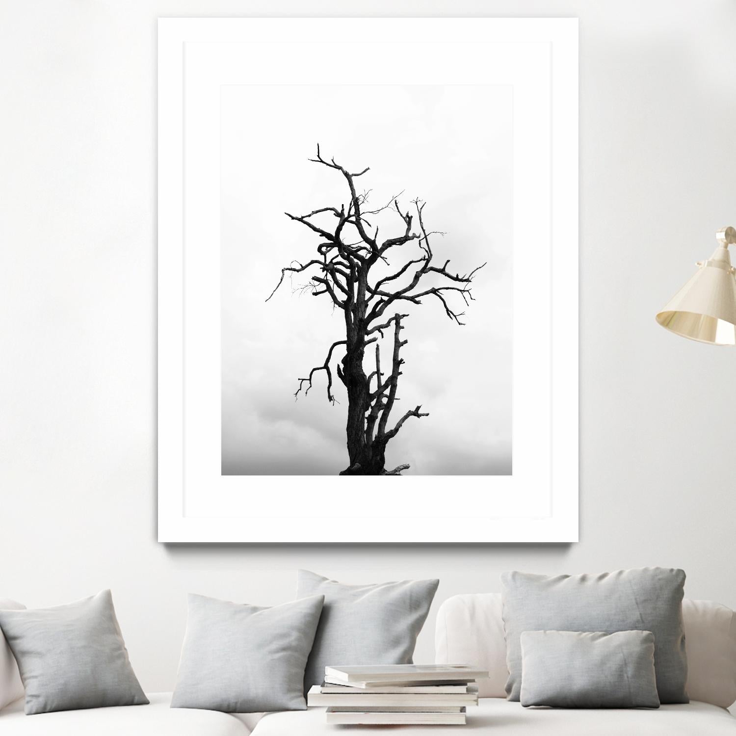 Dead tree by Pexels on GIANT ART - white trees