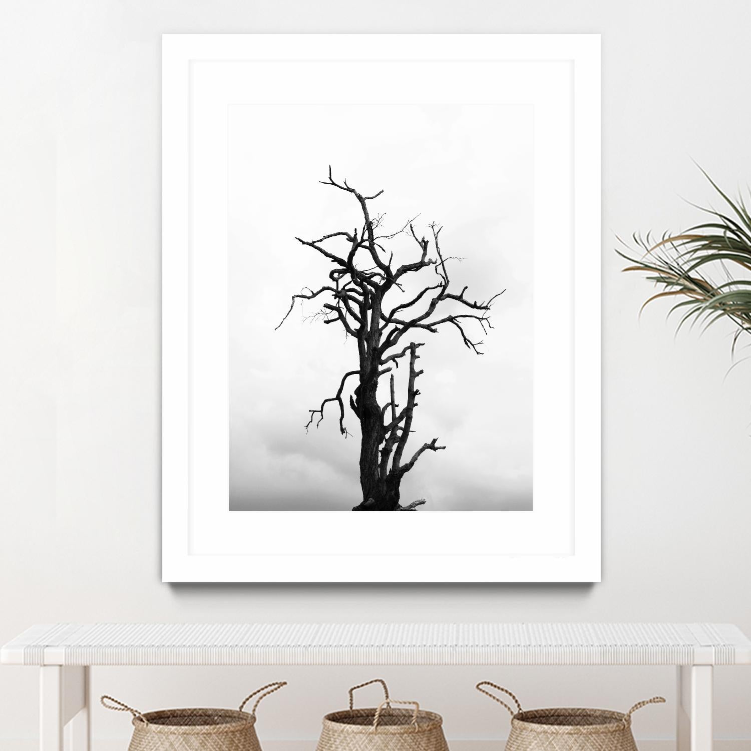 Dead tree by Pexels on GIANT ART - white trees