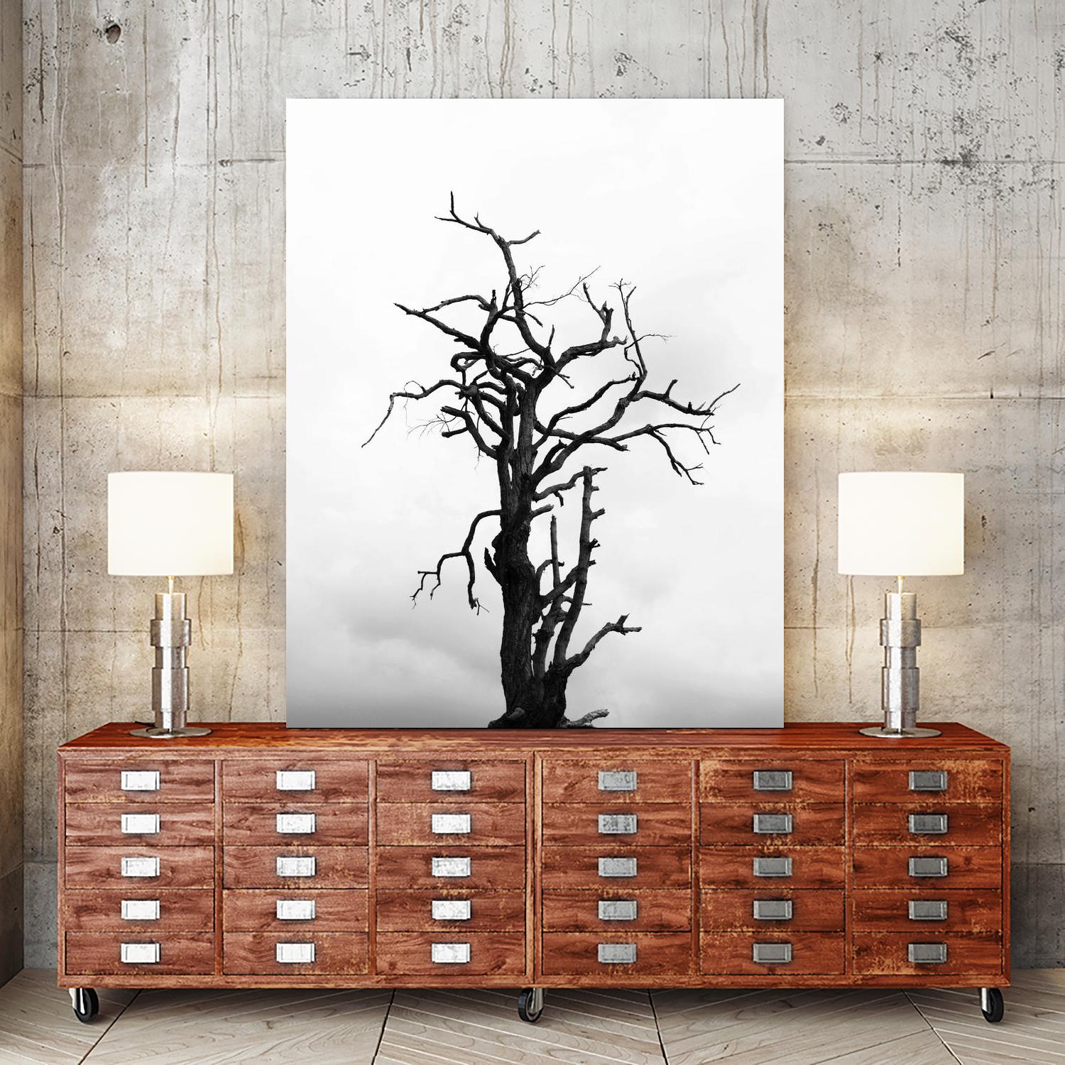 Dead tree by Pexels on GIANT ART - white trees