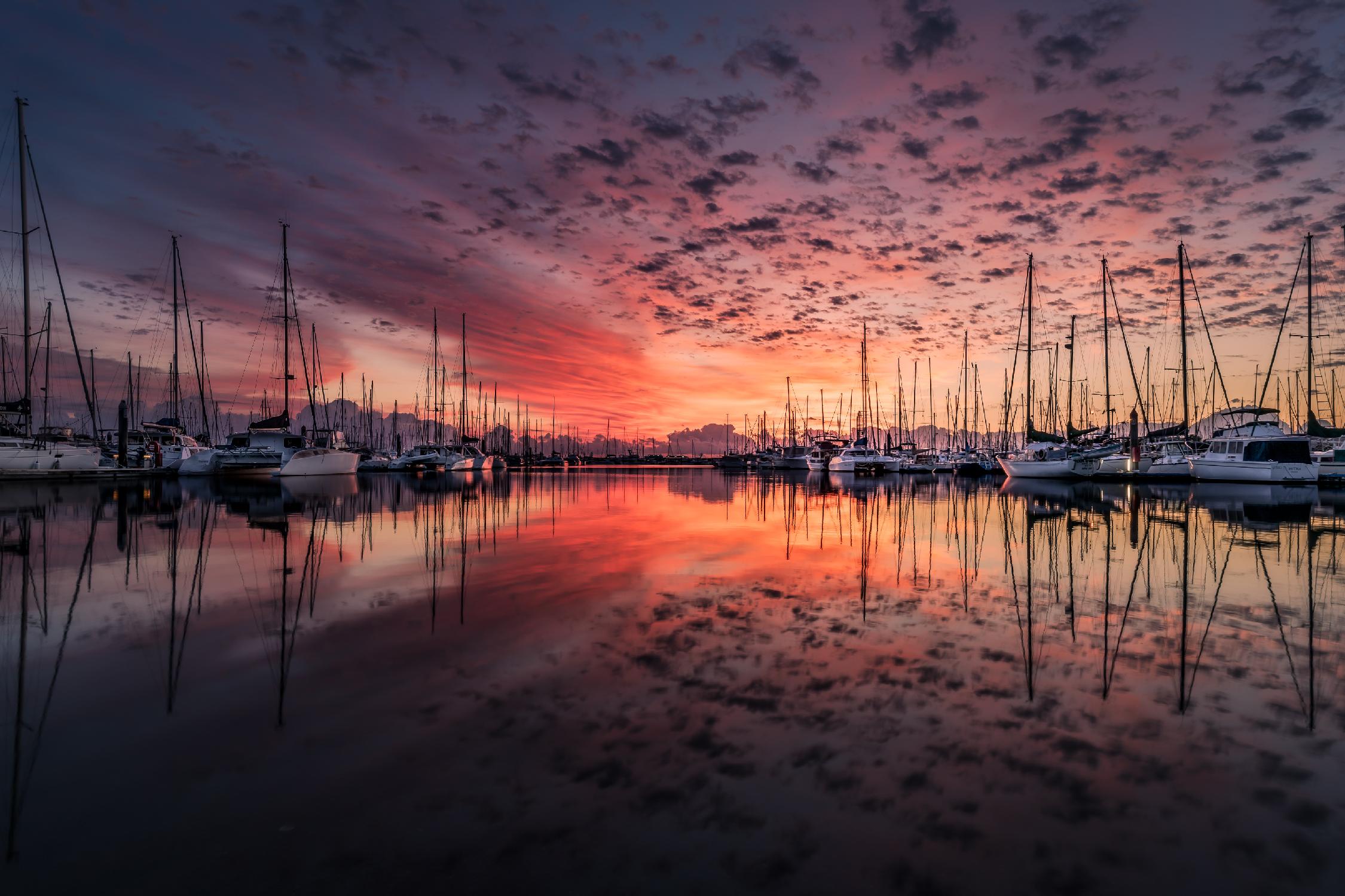 Mooring by Pexels on GIANT ART - purple nautical