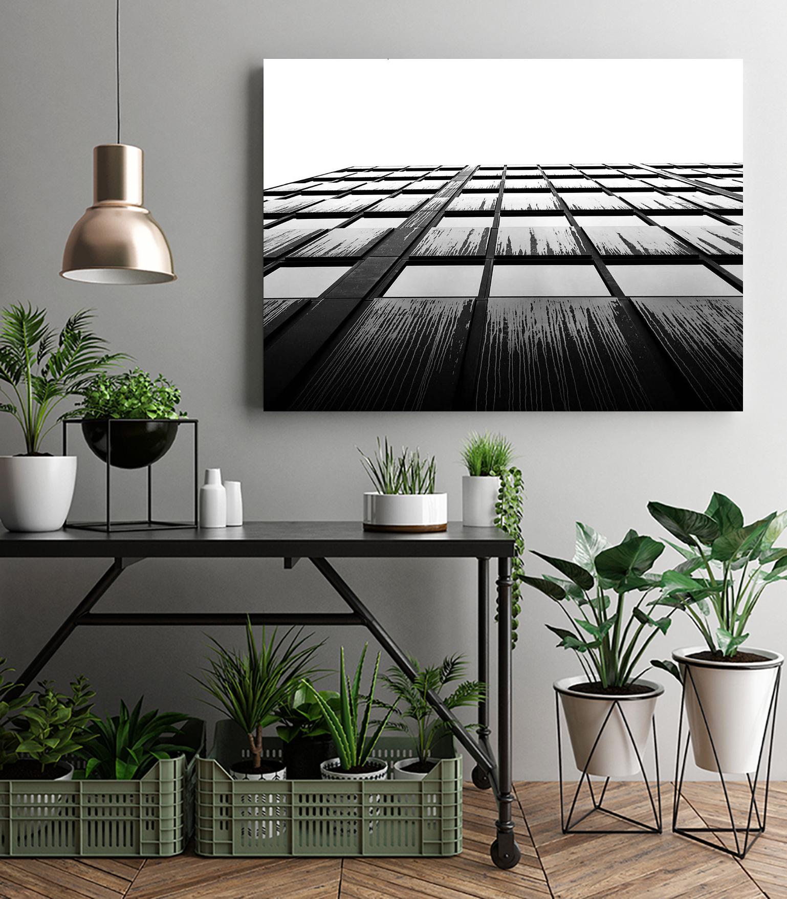 Windows V by Pexels on GIANT ART - white architectural