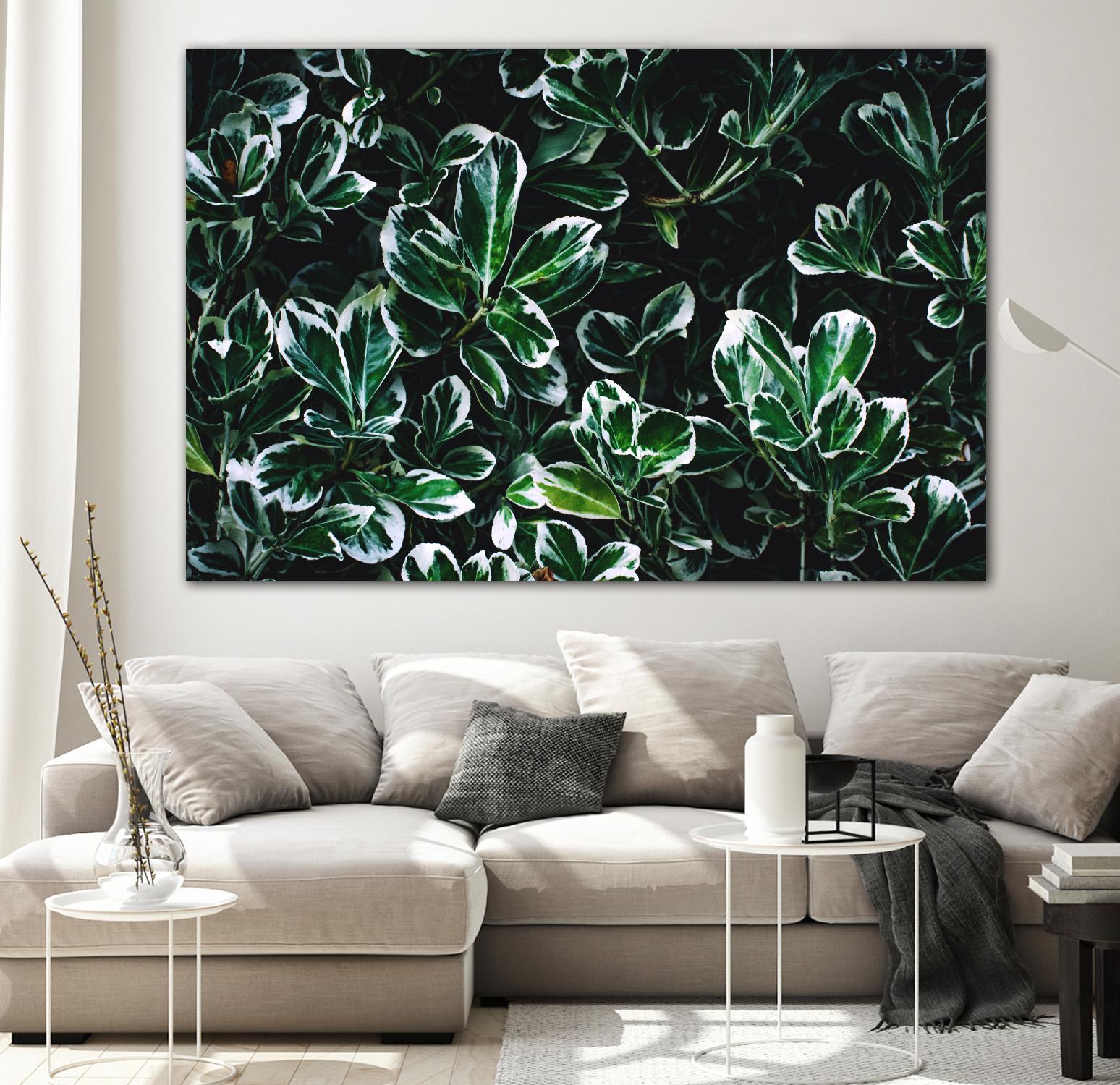 Colored leaves by Pexels on GIANT ART - white botany