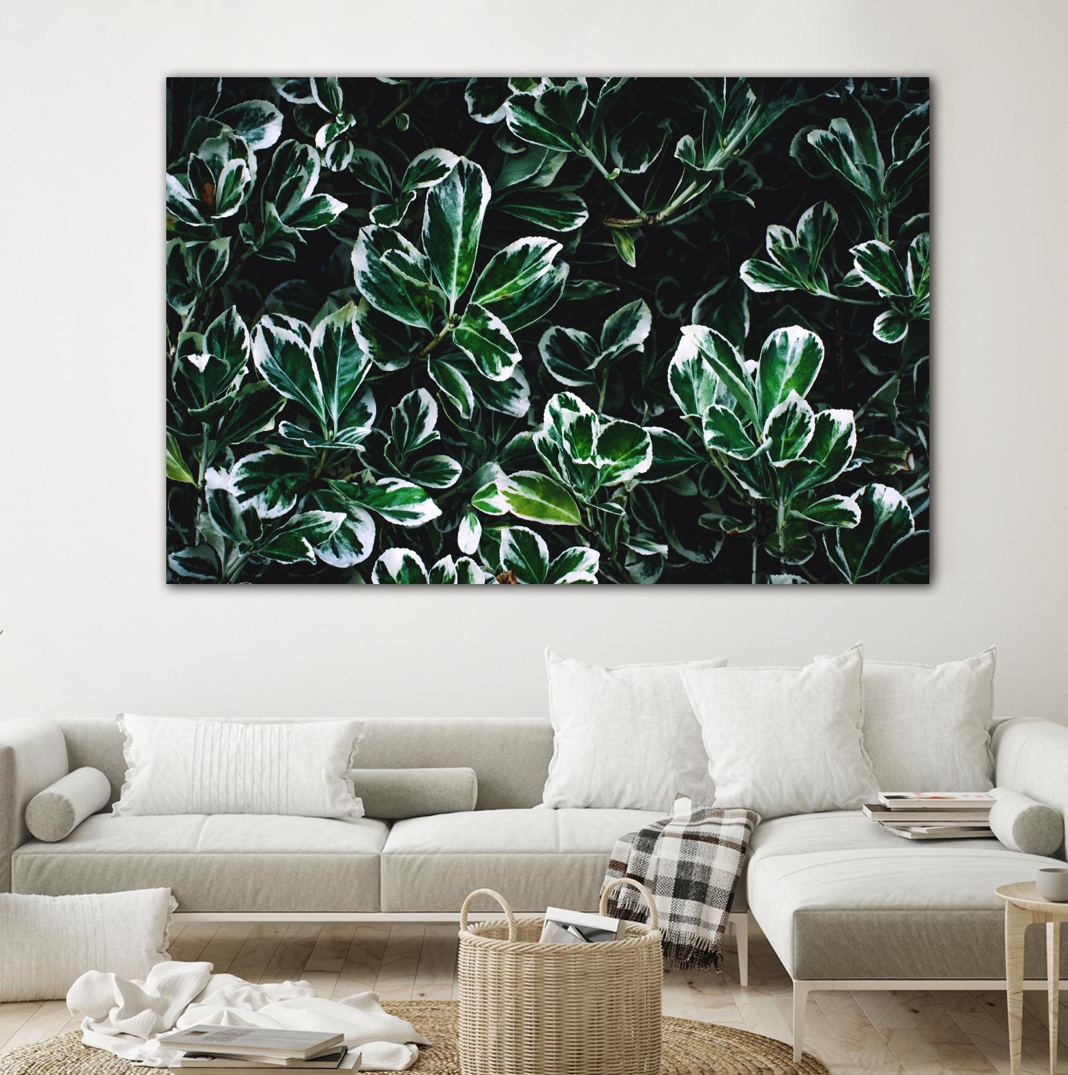 Colored leaves by Pexels on GIANT ART - white botany