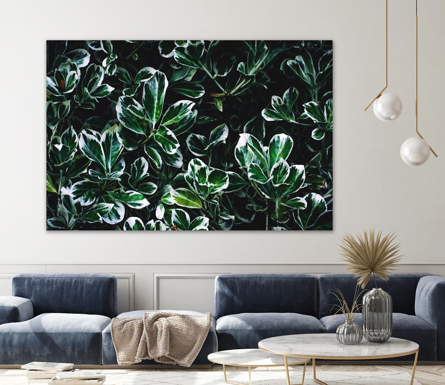 Colored leaves by Pexels on GIANT ART - white botany