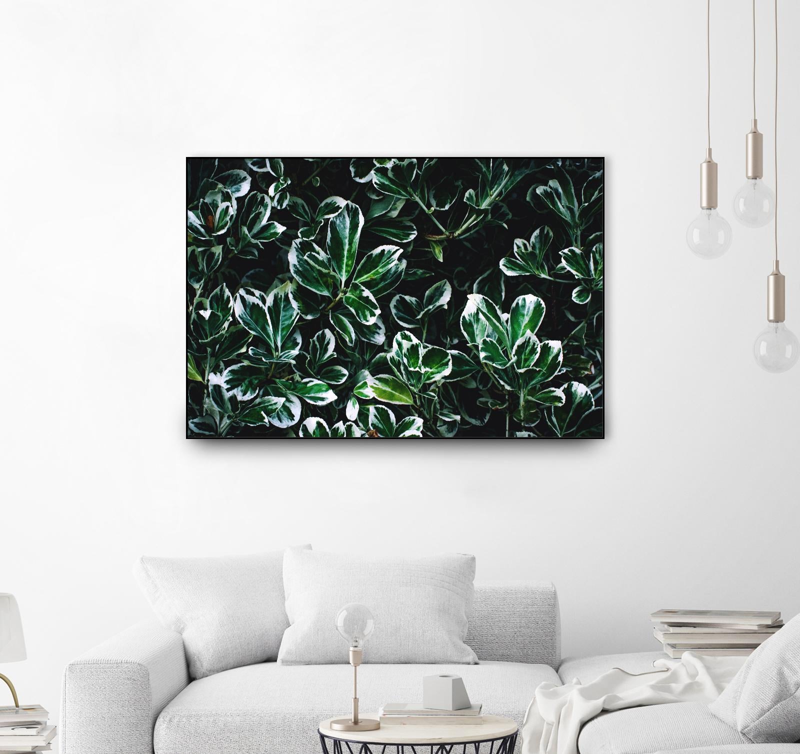 Colored leaves by Pexels on GIANT ART - white botany