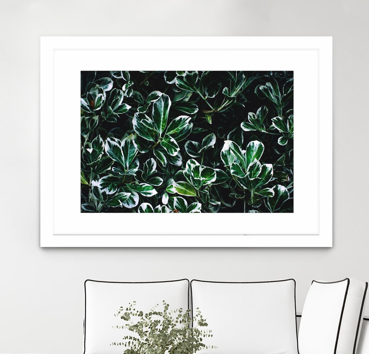 Colored leaves by Pexels on GIANT ART - white botany