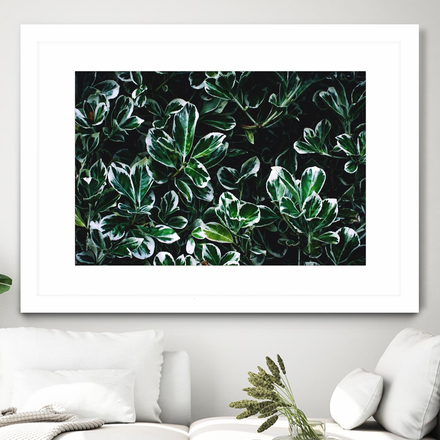 Colored leaves by Pexels on GIANT ART - white botany