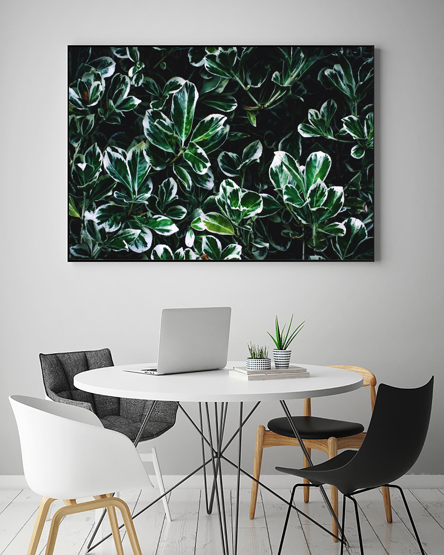 Colored leaves by Pexels on GIANT ART - white botany