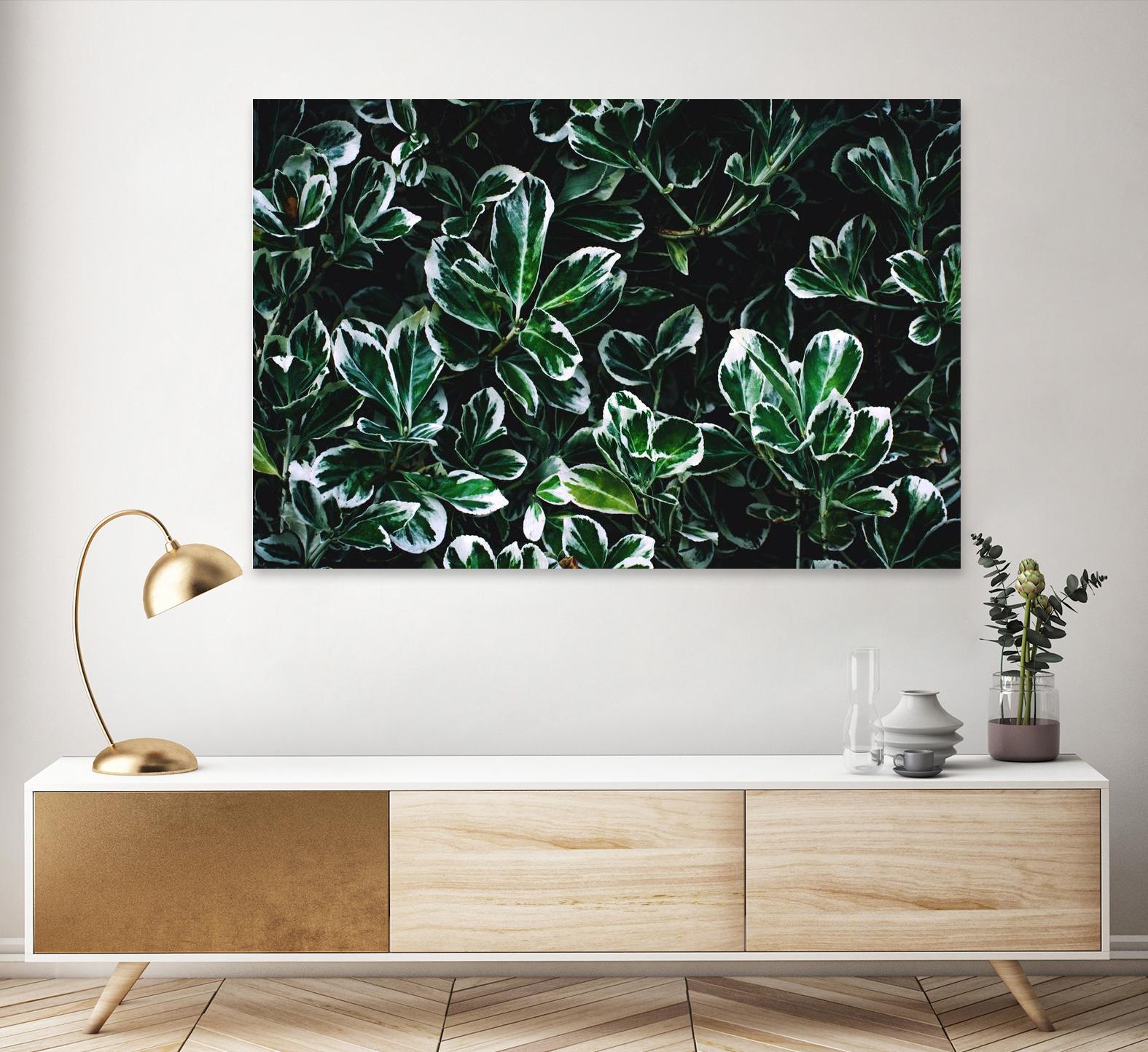 Colored leaves by Pexels on GIANT ART - white botany