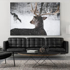 Deers by Pexels on GIANT ART - white animals