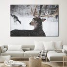 Deers by Pexels on GIANT ART - white animals