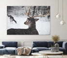 Deers by Pexels on GIANT ART - white animals