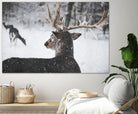 Deers by Pexels on GIANT ART - white animals
