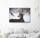 Deers by Pexels on GIANT ART - white animals