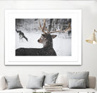 Deers by Pexels on GIANT ART - white animals