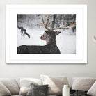 Deers by Pexels on GIANT ART - white animals