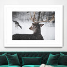 Deers by Pexels on GIANT ART - white animals