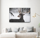 Deers by Pexels on GIANT ART - white animals