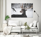 Deers by Pexels on GIANT ART - white animals