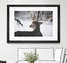 Deers by Pexels on GIANT ART - white animals