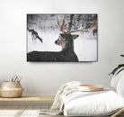 Deers by Pexels on GIANT ART - white animals