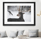 Deers by Pexels on GIANT ART - white animals