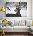 Deers by Pexels on GIANT ART - white animals