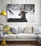 Deers by Pexels on GIANT ART - white animals