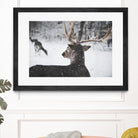 Deers by Pexels on GIANT ART - white animals