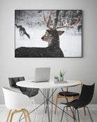 Deers by Pexels on GIANT ART - white animals
