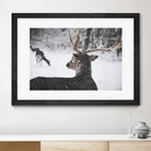 Deers by Pexels on GIANT ART - white animals