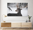 Deers by Pexels on GIANT ART - white animals